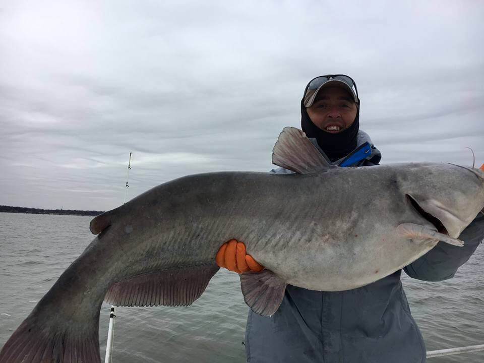 Lake Texoma Should Be Capitalized A 2025 Definitive Guide to Naming, Geography, and Importance