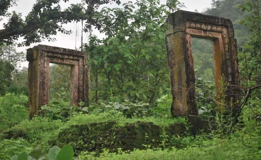 Dinglygreen A Timeless Tapestry of History, Nature, and Community